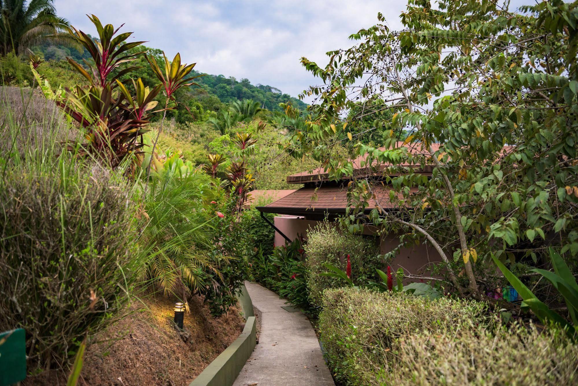 Tiki Villas Rainforest Lodge & Spa Uvita Exterior photo