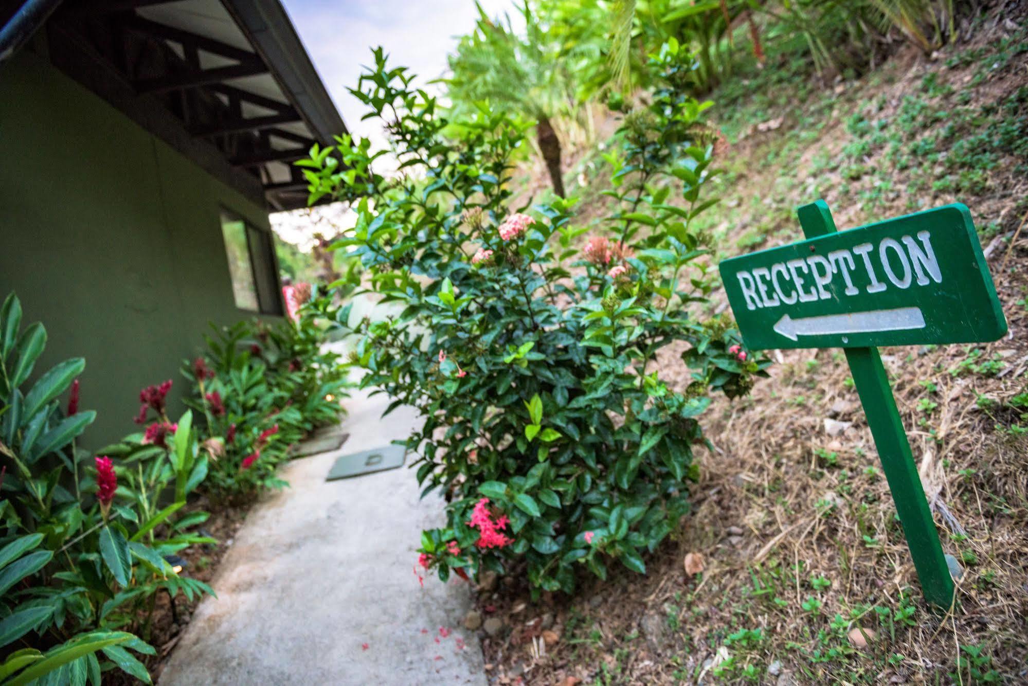 Tiki Villas Rainforest Lodge & Spa Uvita Exterior photo